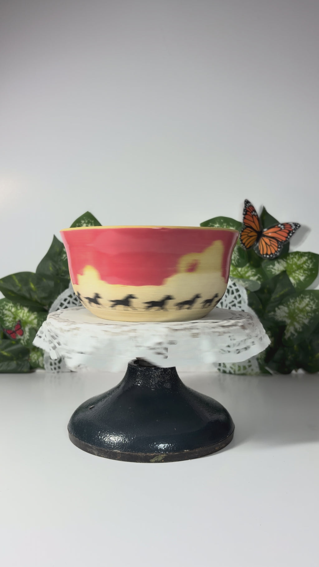 Desert Rider Bowl